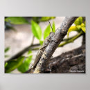 Zoek naar takken posters Fotografie