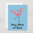 Zoek naar leuke flamingo briefkaarten Grappig
