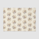 Zoek naar corgi tissue papier Welig