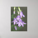 Recherche de vert clair impressions sur toile Floral