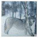 Recherche de loups carreaux Gris