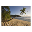 Recherche de seychelles posters Côte