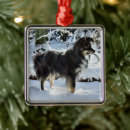 Recherche de berger australien ornements Dog