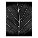 Recherche de brille posters Noir et blanc