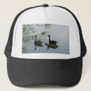 Recherche de sauvages casquettes Faune