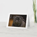 Zoek naar pug notitiekaarten Hond
