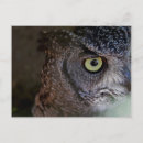 Recherche de de hibou cartes postales Oiseau