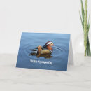 Recherche de canard de mandarine vœux cartes Sauvagine