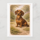 Recherche de teckel cartes postales Dessin