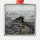 Zoek naar olievlek ornamenten Olieramp