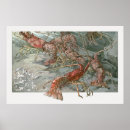 Recherche de écrevisse posters Crustacés