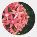 Recherche de photo numérique autocollants Floral