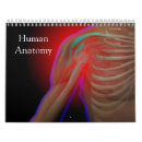 Recherche de muscles bureau fournitures Anatomie