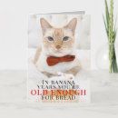 Recherche de chat idiot vœux cartes Mignon