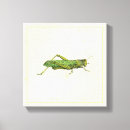 Recherche de arrière plan crème art Nature