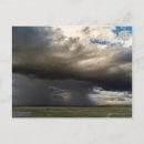 Recherche de gnou posters Parc national d'amboseli