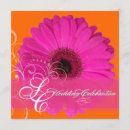 Recherche de gerbera rose invitations Gerber daisy