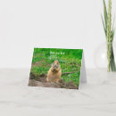 Recherche de bon chance vœux cartes Mignon