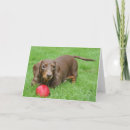 Recherche de charités vœux cartes Chien