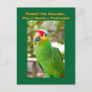 Recherche de oiseau perroquet cartes postales Vert