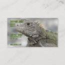 Recherche de corné cartes visite Reptile