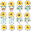 Recherche de mis en pot Fleurs