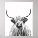 Recherche de taureau noir posters Ferme