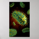 Zoek naar virologie posters Lipoproteïne