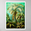 Zoek naar vintage botanische posters Groen