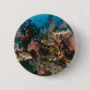 Recherche de barrière badges Barrière de corail