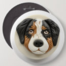 Recherche de berger australien badges Amoureux des chiens