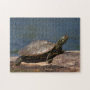 Recherche de lent puzzles Animal