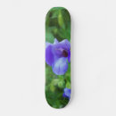 Recherche de vignes skateboards Feuille