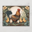 Recherche de poules poussins cartes postales Volaille
