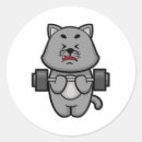 Recherche de biceps autocollants Salle