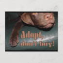 Recherche de tier posters Hunde
