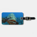 Recherche de le cuba bagages étiquettes Océan