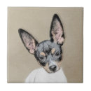 Recherche de rat carreaux Chien