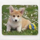 Recherche de chien corgi tapis souris Corgis