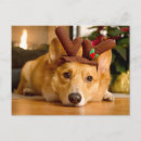 Recherche de cor cartes postales Chiot