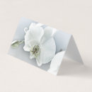 Recherche de phalaenopsis Floral