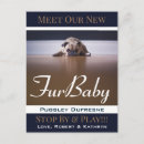 Recherche de four cartes postales Animaux