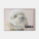 Recherche de chien de recouvrement Mignon