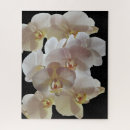 Recherche de orchid puzzles Plante