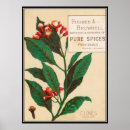 Recherche de clou de girofle posters Vintage