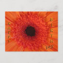 Recherche de gerberas cartes postales Pour tous