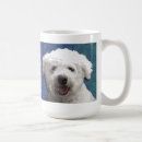 Recherche de frise de bichon tasses Animal familier