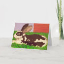 Recherche de lapin noir vœux cartes Blanc