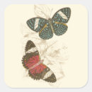 Recherche de papillon bleu autocollants Nature