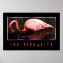 Zoek naar roze flamingo fotografie Kleur